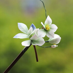  fB[X  `H| 㗢 t[fUC VNxxbgt[ 񂴂 ؂₩ Õ X^C ؕ n   p[eB[ wAANZT[ I 