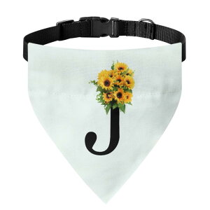 ybgpo_i I[V[Y vg Rt |GXe Lp JWA 킢 X  At@xbg fCW[ ԕ ^ ^ ^