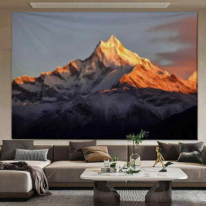 ^yXg[ ~R i ډB  wiz xbhTCh Q n ʐ^f t@ubN|X^[ EH[fR[V |GXe tl  ؍ k r