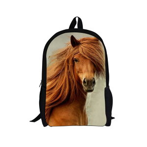 bNTbN WjA w jp xnvg I |GXef ʊw ʋ A4t@C[Ή e @\ ؍ obNpbN  X^CbV