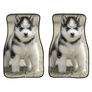 J[}bg ėp h ~ o[n ĕ X|[c{[ y ʎ SUVΉ ԓ ی 2_Zbg(x2)