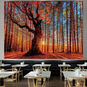 ^yXg[  X i EH[A[g CX^f  |GXe Ǌ| |X^[ rO Q q CeA  ԉo ͗lւ ĕ