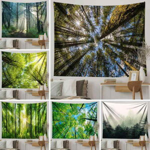 ^yXg[ k Ri   Xѕ Ǌ| EH[fR[V ېOK rO Q xbh[ q ͗lւ  CeA  |GXef