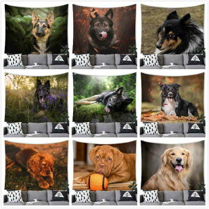 ^yXg[ W[}VFp[h 킢  hbO Ǌ| EH[A[g |GXe s[`XLH }VD nCX^C rO Q CeA ͗lւ Ǐ 