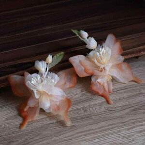 wAANZT[ fB[X  ьJ[  VNt[ a ÓT ؂₩ GKg wANbv   l Ǝ  p[eB[ I[V[YΉ