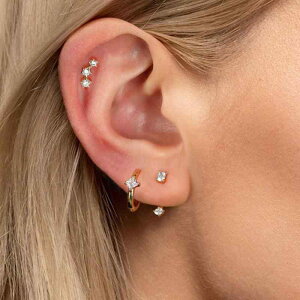 sAX Y fB[X jZbNX ins WRjA t[vsAX sAX qΉ  Eh i GKg  Zbg