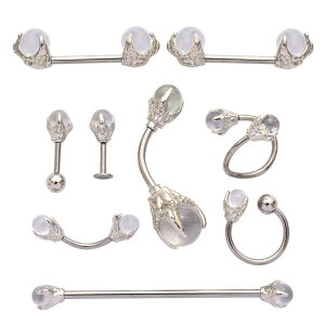 ւsAX jZbNX jp T[WJXeX ×pXeX AM[Ή Kтɂ S S[XgN[ ̒ VR zCgNX^ ăX^C g 