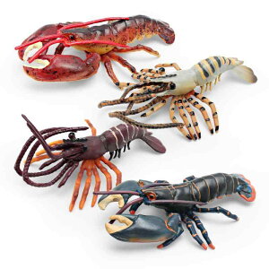  LbY qp A I { m wK Cm {XguX^[ CV tBMA CeA  u RNV