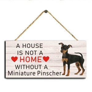 Ǐ ؐ MDF ؖڒ F thVbv v[g Ŕ TC{[h hA   rO  X JtF Ǌ| EH[A[g k  CeA  I[ig