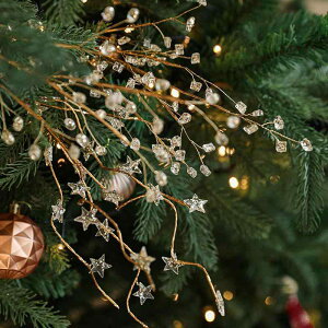 NX}X I[ig }ݎ Ob^[ H y Ȃ vX`bN NX}Xc[  fR[V X^[ ^ Ό^ H^  j[N