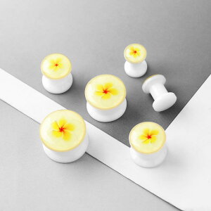 gsAX jZbNX T[WJXeX AN Ђ܂ fUC ĕ  {fBsAX  dCbLH ANZT[ ig JWAX^C