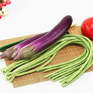 HiTv PUf A 񂰂 tFCN fBXvC͌^ { Bep Xܑ Ɩp HX Xg V[EBhE Cxgo CeAG