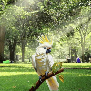 K[fsbN IE @  M^Xg AN  뉀 Aؔ v^[  CX^f GNXeAI[ig ό v y(x2)