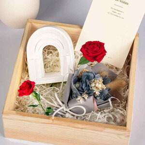 VR^ DIY  nhCh Lh A}Xg[ ΍p  Ï {a CgOWA[ IuWF u(x2)