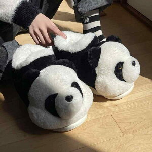 [V[Y fB[X Y ~ ۉ ƕt {A  tFCNt@[ p_ 킢  O p ~p 