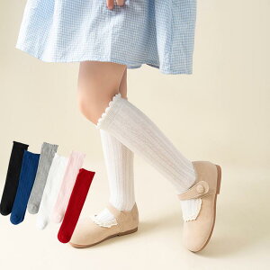 \bNX LbY ̎q t ʋC bV  n ~h N[ Rbg ȑf 3΂12  w K Vv ig JWA