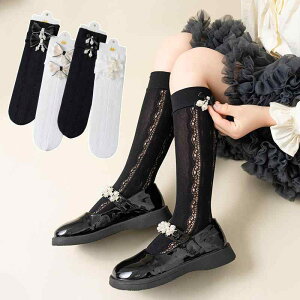 \bNX ̎q LbY q t  ʋC ȍ 킢  r[Y { ~h   mg[ 3΂12Ό w nC\bNX