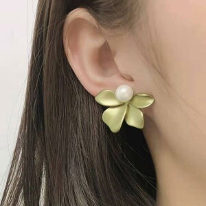 sAX fB[X ؍ p[ t[`[t fUC  g t`X^C i GKg I ANZT[  zCg O[