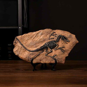 �I�u�W�F ���A�� �������Ε� �e�B���m�T�E���X T-REX ������ �u�� �I�t�B�X ���� ���r���O �C���e���A�G�� �V���[�P�[�X �f�B�X�v���C ���� �M�t�g �v���[���g