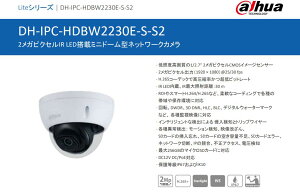 DH-IPC-HDBW2230EN-S-S2 Dahua���i
