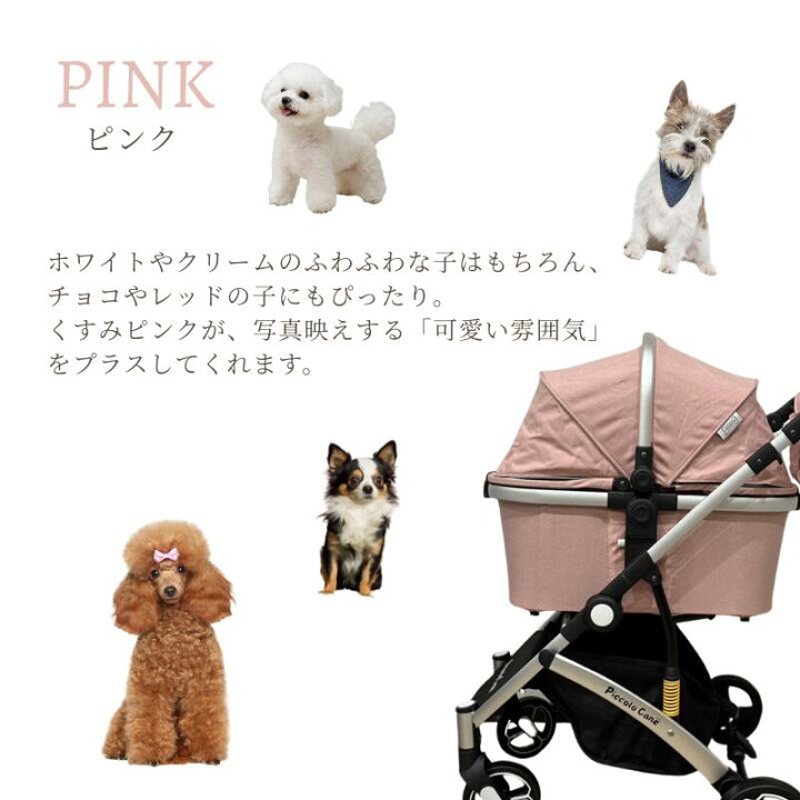楽天市場】【新商品】ポイント10倍 ピッコロカーネ カリーノアルファ 