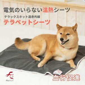 eybgV[c SSTCY 40×60cm ewc ԊO V[c }bg  L { F'sWish