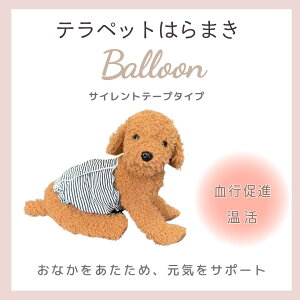 eybgBalloon ewc ԊO p͂܂ SS`MTCY F'sWish GtYEBbV