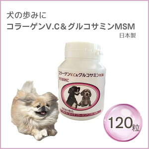 yzy|Cg2{z120 ݂̕ R[QV.CORT~MSM h{⏕Hi ֐߃Tvg p {r[GtyAj}XgXzTvg ֐߃Tvg