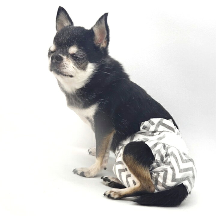 楽天市場】M-PETS エムペッツ エムペッツ 女の子用オムツ XSサイズ 超小型犬用 : SKS
