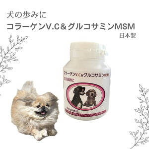 yz2025N1024וy|Cg2{z݂̕ R[QV.CORT~MSM h{⏕Hi 120 ֐߃Tvg p {r[GtyAj}XgXzTvg 