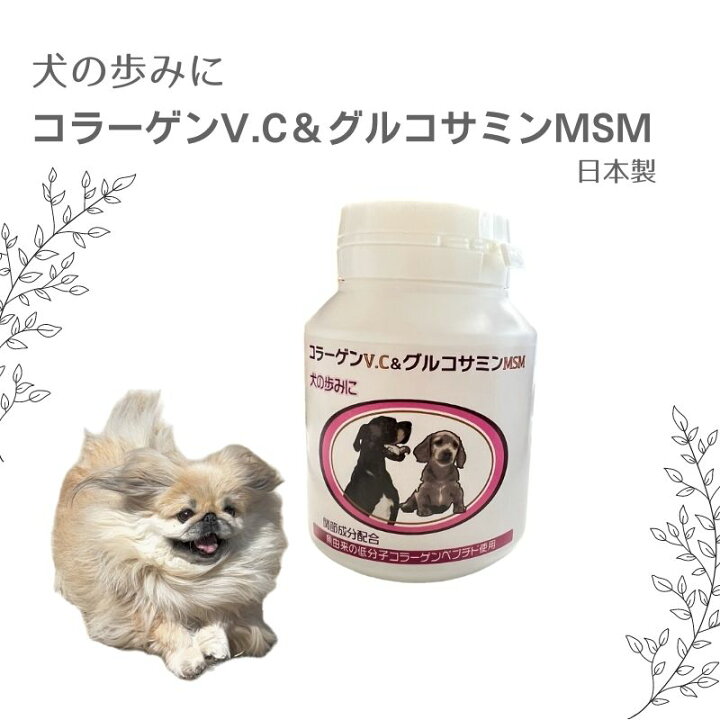 楽天市場】【即日発送】2024年9月20日入荷分【ポイント2倍】犬の歩みに 