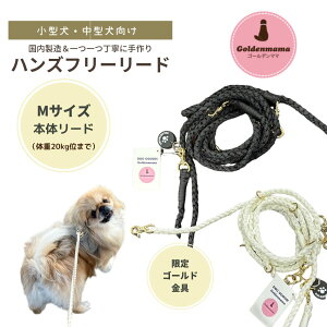 nYt[[hyMTCY ^E^ S[h {́zJ[ goldenmama S[f}} [h p opi ybgpi ʉ@ ЊQ nhCh Y  [h 