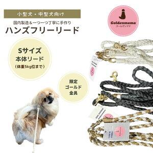 y^E^/STCY/yʃ^Cv/{/S[hz nYt[[h goldenmama J[ S[f}} opi ybgpi nYt[ ƂĂ֗ Upi 