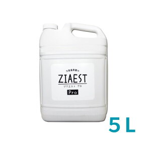 WAGXg v5L ZIAEST PRO f_  L Ɩp