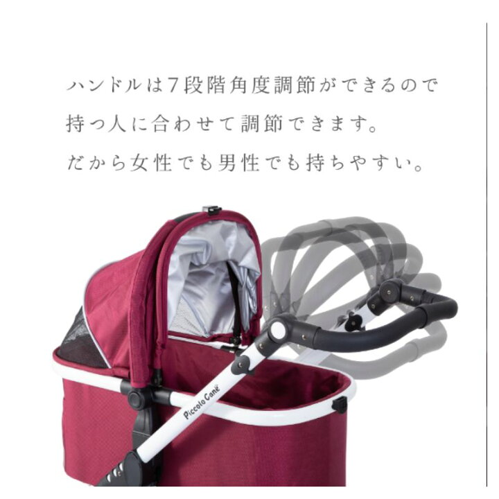 楽天市場】【正規販売店】限定カラー ポイント5倍 ピッコロカーネ 