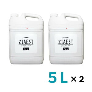 WAGXg v5L y2{ZbgzZIAEST PRO f_  L Ɩp