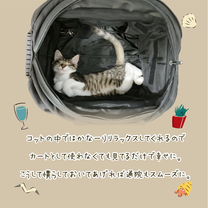 楽天市場】【ポイント10倍】【猫ちゃん向け】ピッコロカーネ エルモ2 