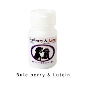 yz2025N1024וy|Cg5{z̓Ƀu[x[&eC Tvg {r[Gt u[x[&eC ybgp Aj}XgX {r[Gt Tv