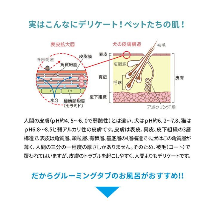 即発送可能 重炭酸イオンケア浴剤 100錠 グルーミングタブ その他
