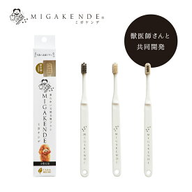 MIGAKENDE ミガケンデ 1本 ウマ ヤギ ウマヤギ植毛 歯ブラシ 歯磨き ペット用歯ブラシ 犬用歯ブラシ 口腔ケア 獣医師さんと共同開発 小型犬 中型犬 国産天然毛 口臭対策 歯周病対策 多葉歯ブラシ 歯周病ケア 柔らかい天然毛歯ブラシ