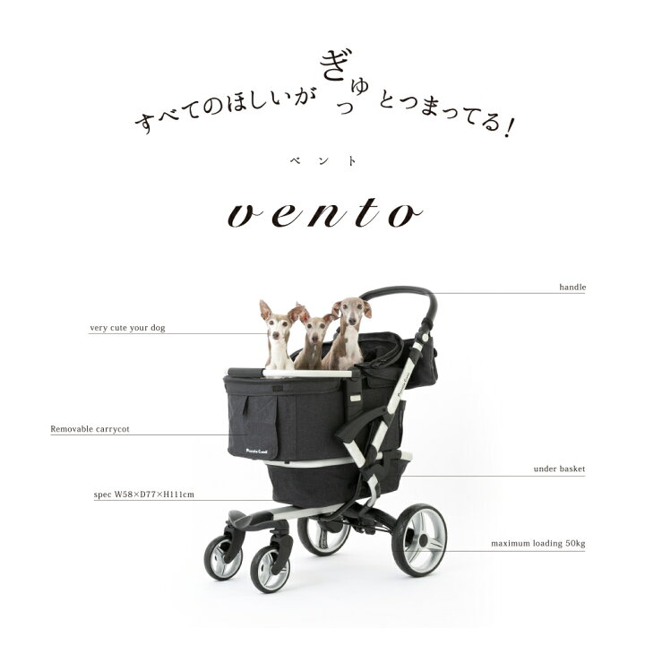 楽天市場】【正規品】ピッコロカーネ ベント スタイリッシュ かわいい 