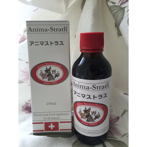 yzAj}XgX250ml Lbh y|Cg10{z K̔ 2025N1027וy厖ȍyf̐HɃvXIzAj}XgX t̃^Cv {r[Gt Tv