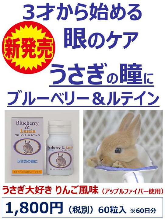 楽天市場】【即日発送】2025年4月1日入荷分 うさぎの瞳にブルーベリー 