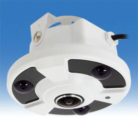 WTW-EHDR25UYJ WTW-HDR25の次世代機、代替え機 400万画素 全方位監視ドーム型カメラ 天井に設置して360度監視 夜間監視対応モデル HD-SDI 魚眼レンズ パノラマビュー 広角レンズ　360度映るカメラ　部屋全体が見れます　全方位カメラ　4台分の働き　360度カメラ
