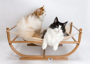 LbgnbN LnbN lRnbNyzLpxbh ybgxbh Lxbh  lR Lp