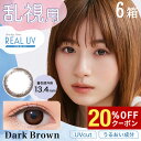 【20%OFFクーポン配布中!!】送料無料[6箱][乱視用]ワンデーアイレリアルUVトーリック 1箱10枚入り ダークブラウン カラコン 乱視 ワンデー 度あり 度なし 6箱セット 1日使い捨て 乱視 UVカット 度入り 1day Aire Real Toric 白宮みずほ カラーコンタクト ネオサイト アイレ