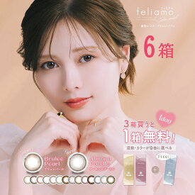送料無料[6箱]feliamo 1day 1箱10枚入り 1日使い捨て 6箱セット ワンデー フェリアモ UVカット 高含水 度あり 度なし 度入り どあり 白石麻衣 まいやん カラコン サークルレンズ カラーコンタクト コンタクトレンズ PIA ピア