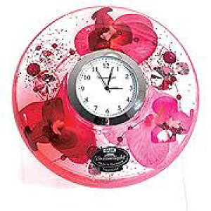 ̓NX}Xv[gɁIIyuvzh[CgI[Lbh_CAht̐VA[YsNɉ؂₩Ă܂ANX^hthCc̓@