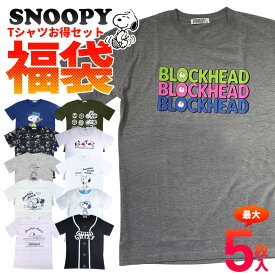 スヌーピー 2023 福袋 2024 snoopy 福袋 スヌーピー tシャツ レディース 半袖 tシャツ メンズ 5枚セット 綿100% 半袖tシャツ カットソー 4枚 5枚組 可愛い セット ピーナッツ かわいい peanuts キャラt キャラクター グッズ かわいい おしゃれ 可愛い 大きいサイズ 送料無料