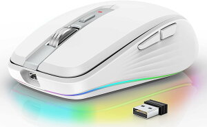 _?P10{?^}EX Bluetooth 5.1 CX}EX }EX [d 2.4GHzw 7{^ lԍHwfUC 4DPI[h ő2400DPI 7FCgt ȃGlM[ x ^ ^ѕ֗ {